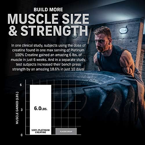 Creatina Muscletech Platinum - 400g 80 servicios (sin sabor)